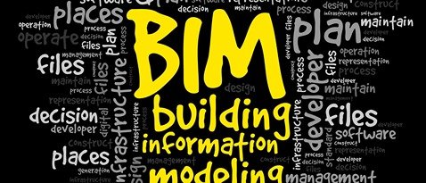 BIM Training training